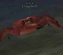 Cragshell