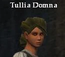 Tullia Domna