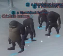 Chieftain Iceburn