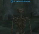 A risen brittlebone