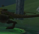 A young wyvern