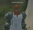 Trelech Stonehome
