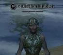 Blackfurl lubber