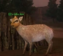 A valley deer