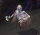 Protector Ghondu