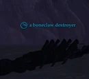 A boneclaw destroyer