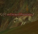 An Enraged Razorfang