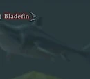 Bladefin