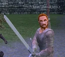 Knight-Lieutenant Erwin
