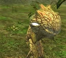 The Ancient Krangoris