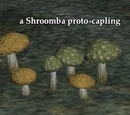 Shroomba proto-capling