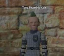 Torg Bramblehair