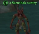 A Sarnshak sentry