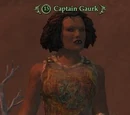 Captain Gaurk