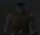Researcher Gromk
