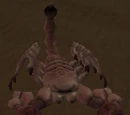 A dustwhip scorpion