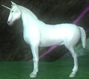 The Farstride Unicorn