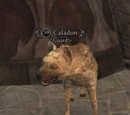 Caladon
