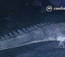 Confined gator