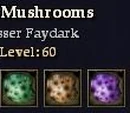 Poisonous Mushrooms