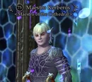 Maestro Kerberos