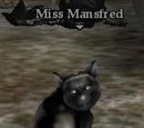 Miss Mansfred