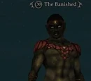 The Banished