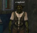 A vagabond
