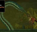 Majora Leviathora