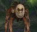 Guardian of the glade