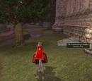 The Summoning Chamber