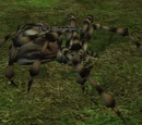 A jungle leaper