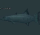 A sand pike