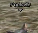 Pockets