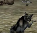 Skitter
