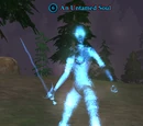 An Untamed Soul