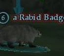 A Rabid Badger