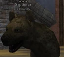 Septimus