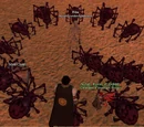 Deathsilk spider