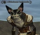 A Skindancer legionnaire