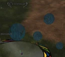 Doomsquall