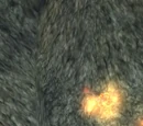 Fiery Magician