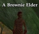 A Brownie Elder
