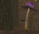 Mysterious Machine