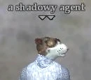 A shadowy agent