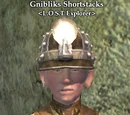 Gnibliks Shortstacks