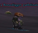 A Bonedigger pathfinder