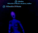 Yillandris D'Morte