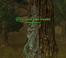 A spirit lake rivulet