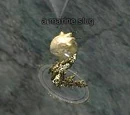 A marine slug
